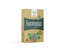 Load image into Gallery viewer, Eucalyptus Mint